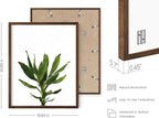HAUS AND HUES Plant Photo Set of 4-16x20 Framed Walnut - Image 3
