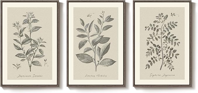 Large Framed Vintage Botanical Wall Art - Image 9