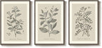 Large Framed Vintage Botanical Wall Art - Image 9