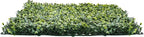 VEVOR Artificial Grass Wall Panels, 60 x 120 inch, Milan Grass Greenery Boxwood - Image 10
