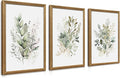 WRFON Framed Sage Green Botanical Wall Art Set of 3, Watercolor Eucalyptus & by Unknown
