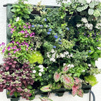 36 Pockets Living Wall Planter Indoor, Self Watering Wall Hanging Planters - Image 3