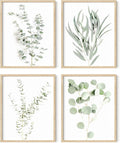 HAUS AND HUES Botanical Plant Wall Art Prints by HausandHuesArtPrints