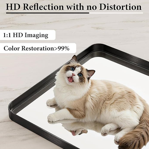 36 Inch Brushed Nickel Bathroom Mirrors - Image 2