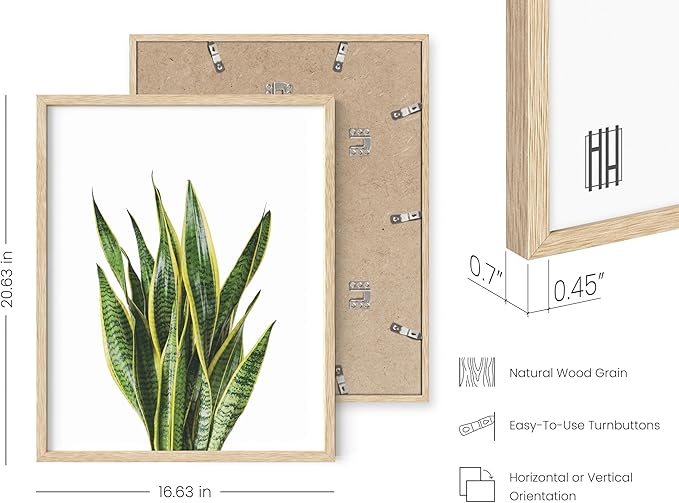 HAUS AND HUES Plant Photo Set of 4-16x20 Framed Beige - Image 3