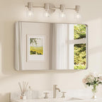 TETOTE Brushed Nickel Bathroom Mirror 40 x 24 Inch by TETOTE