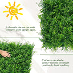 ODTORY Artificial Plants Hedge Wall Panels：40x120 Inch UV-Anti Greenery Boxwood - Image 7